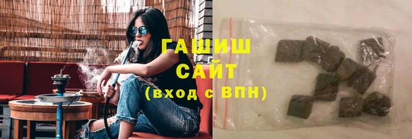 мдпв Краснослободск