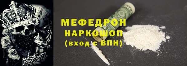 мдпв Краснослободск