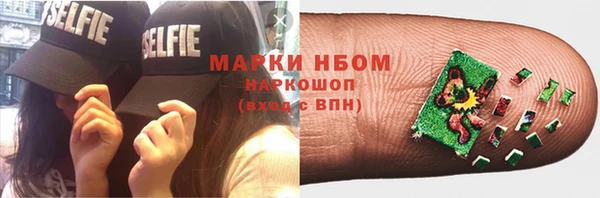 мдпв Краснослободск