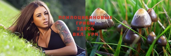 дурь Красноперекопск