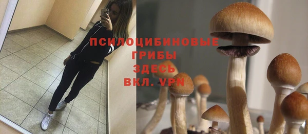 мдпв Краснослободск