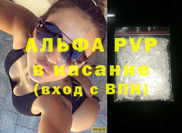 мдпв Краснослободск