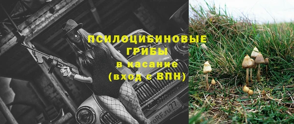 дживик Краснотурьинск
