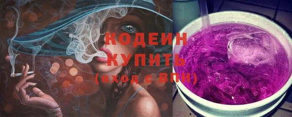 мдпв Краснослободск