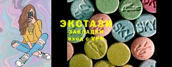 мдпв Краснослободск