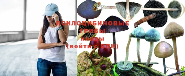 дживик Краснотурьинск