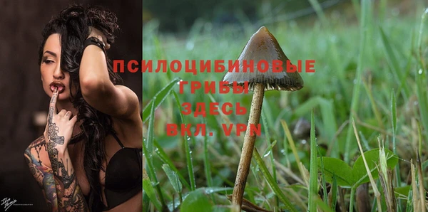 мдпв Краснослободск