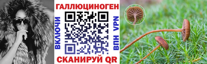 Галлюциногенные грибы Psilocybe  Липецк 