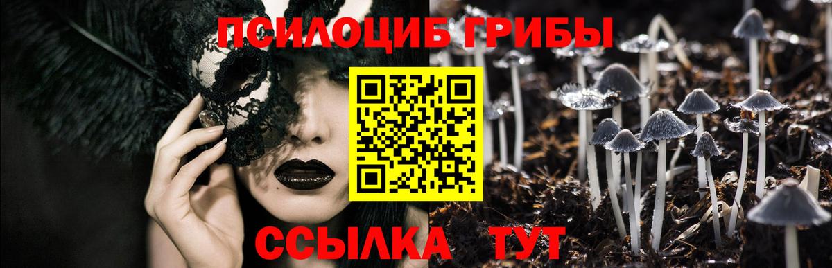 Псилоцибиновые грибы Magic Shrooms Липецк