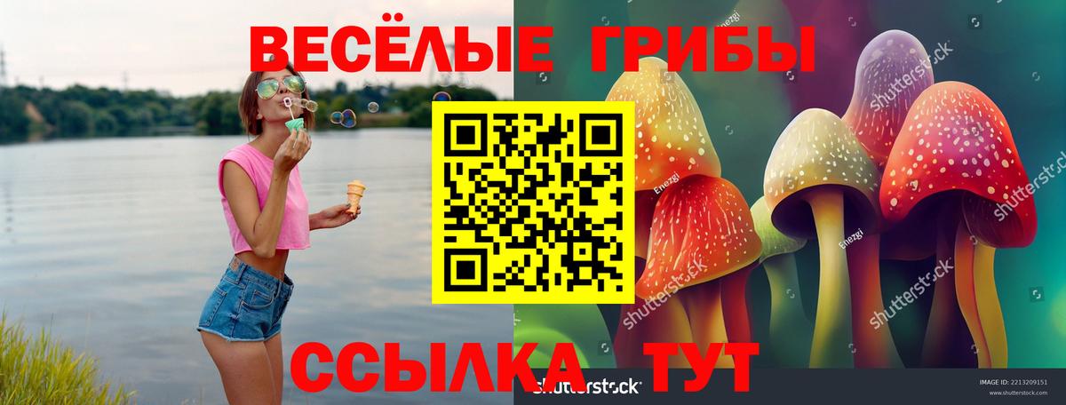 Галлюциногенные грибы GOLDEN TEACHER  Псилоцибиновые грибы Psilocybe  Вход с VPN  Липецк 