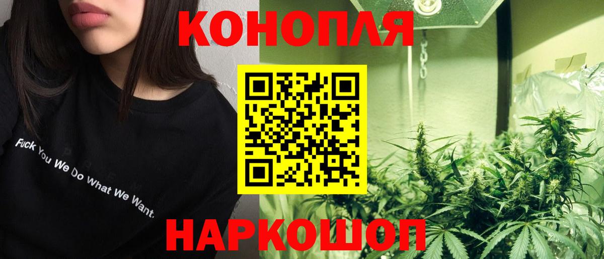 Марихуана планчик  Бошки Шишки план  Липецк  Бошки марихуана White Widow 